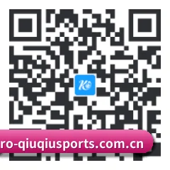 APP 安卓 二维码